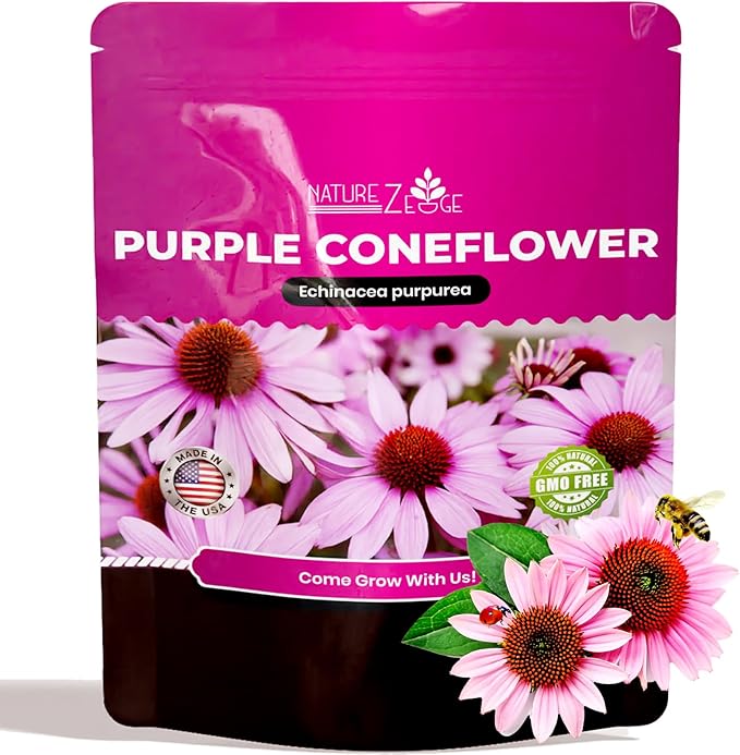 Echinacea Seeds, Purple Coneflower Seeds, Over 2300 Echinacea Seeds for Planting, Non-GMO, Open Pollinated, Heirloom Flower Seeds