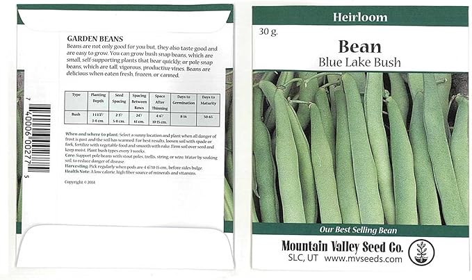 Blue Lake Bush Bean 274 Seeds - 30 Gram Packet - Non-GMO, Heirloom, Open Pollinated - Vegetable Garden Seeds - Green String Beans