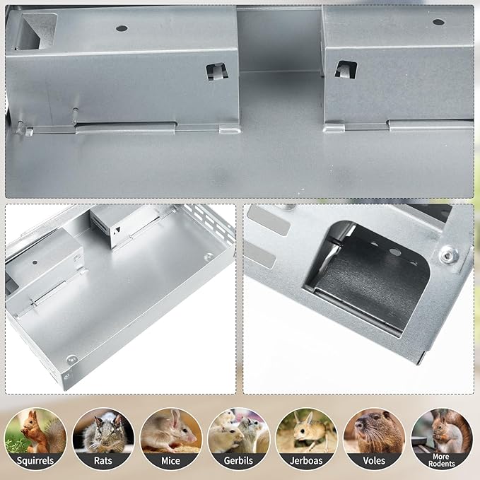 Qualirey 2 Pack Multi Catch Mice Trap Clear Top Humanized Mouse Trap Rodent for Indoor Outdoor Rat Control Pet and Security (Silver Color)