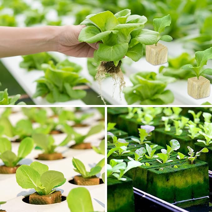 Legigo 1 Inch Rockwool Cubes Seed Starter Plugs for Hydroponics, RockWool Planting Grow Cubes for Hydroponic Tower Garden Soilless Cultivation Plants Germination Cutting Clone (4 Sheet, 200 Plugs)