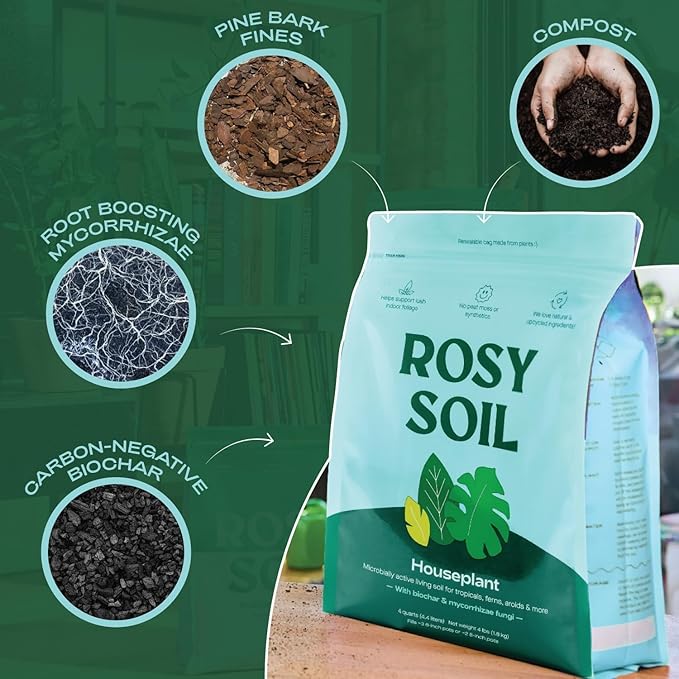 Rosy Soil Cactus and Succulent Potting Soil Mix (4 qts) + Indoor Potting Soil (8 qts) - Peat Free House Plant Soil - Potting Soil Mix for Indoor Plants