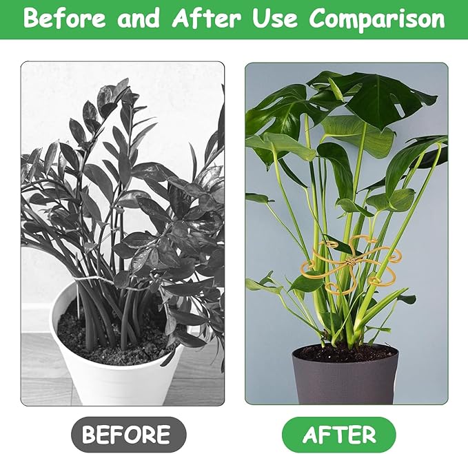 5 Pcs Plant Stem Support, Iron Monstera Plant Support, Durable Hook Stem Supports for Healthy Growth, Bamboo Clamp Set for Leaf Stabilization and Support, Ideal Present for Plant Lovers (5.5IN*5.5IN)