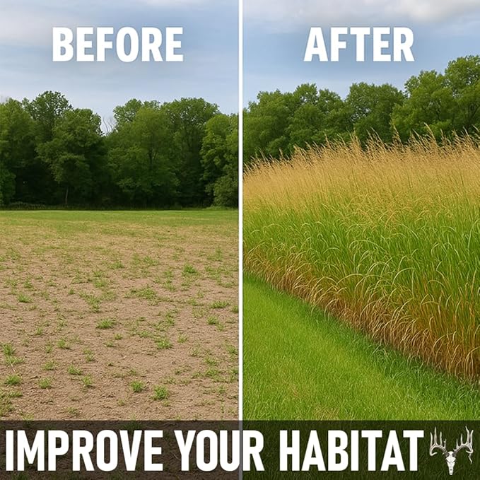 BigAzz Switchgrass Seed, Bulk RC Big Rock Variety, Extra Tall Drought-Tolerant Native Perennial Grass for Deer Habitat, Bedding Areas, Green Screens & Food Plots (2 pounds)