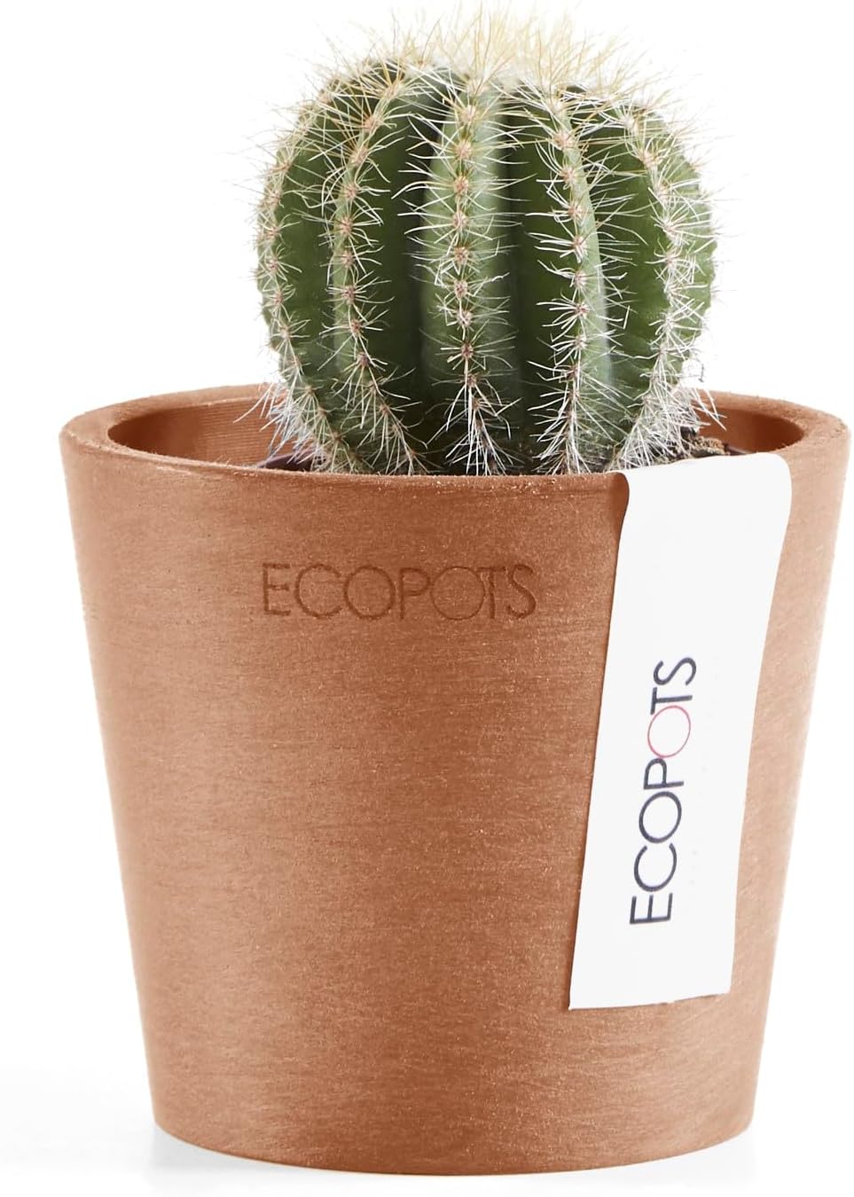 Ecopots Amsterdam Mini Durable Modern Round Recycled-Based Composite Flower Pot Planter, Terracotta Color, 3"