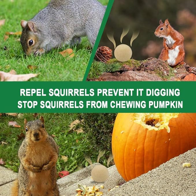 Squirrel Repellent Outdoor, Chipmunk Repellent for Attic/Garden/Bird Feeders/Plants/Cars, Deterrent Squirrels, Keep Chipmunks Away-4P