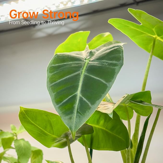 Plant Shelf with Grow Light with Timer, Metal Plant Stand with Adjustable Rack and Wheels, 5 Pack T8 Full Spectrum Grow Light Strip for Indoor Plants, Seed Starting, Seed Tray, 35.4"x13.8"x71"