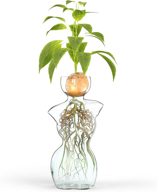 Elegant Female Silhouette Glass Vase by HMC for Plant Propagation and Flower Arrangements - Perfect for Seed Starting, Water Rooting, and Home Decor - Ideal for Avocado, Bulbs, and Plant Cuttings