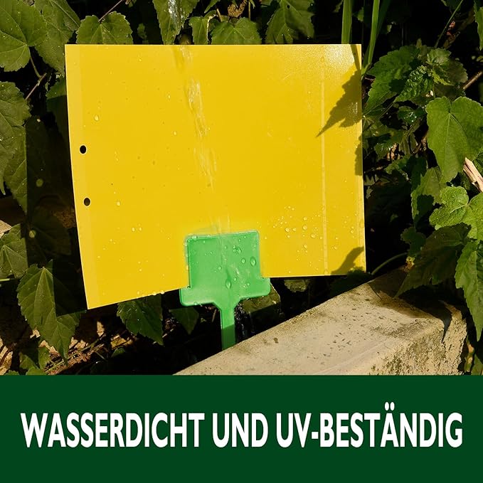 Garsum 20 Pack Gnat Sticky Traps for Indoor and Outdoor, Fruit Fly Paper Sheets Yellow Insect Killer for Flying,Whitefly, Aphids, Leafminers- 6x8 in, Twist Ties Included