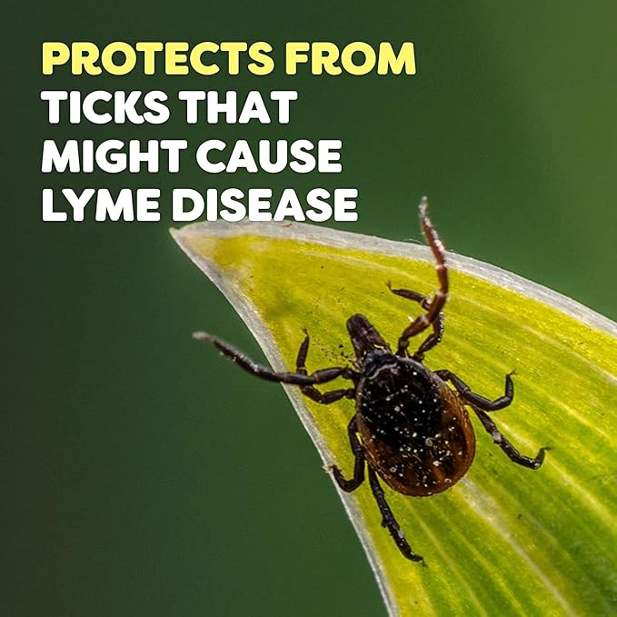 RaidOFF Off Deep Woods Insect Repellent 6oz (Pack of 9)