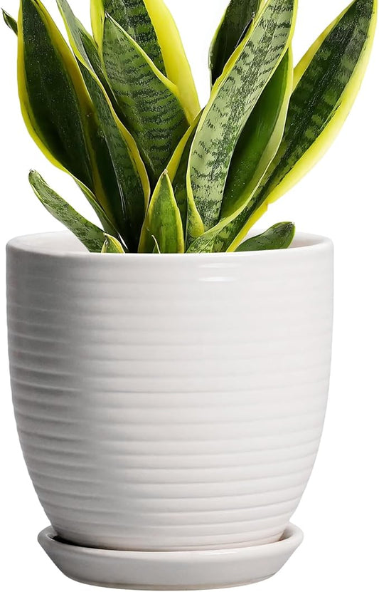 Ceramic Pots for Plants - 6 Inch Plant Pot with Drainage Hole and Saucer, Round Planters for Indoor Outdoor, Flower Pots, Modern Planter, Home Office Room Decor, Gifts for Plant Lovers, White