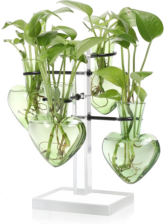 Plants Propagation Stations Plant Terrarium Kit Gift for Women Birthday Glass Planters for Indoor Plants Home Office Decor Acrylic Plant Accessories - 4 Love Hear Vase