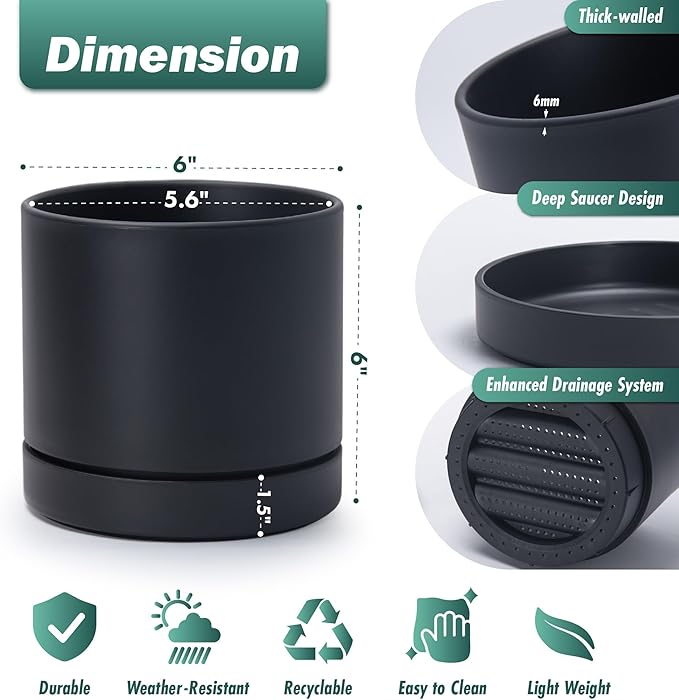 Phoenix Vine 6 Inch Planter Pot with Drainage Hole & Saucer, Deep Water Catch Tray, Straight Cylindrical Round Pot for Plants, Matte Black, Pack of 1, 23-C-S-1