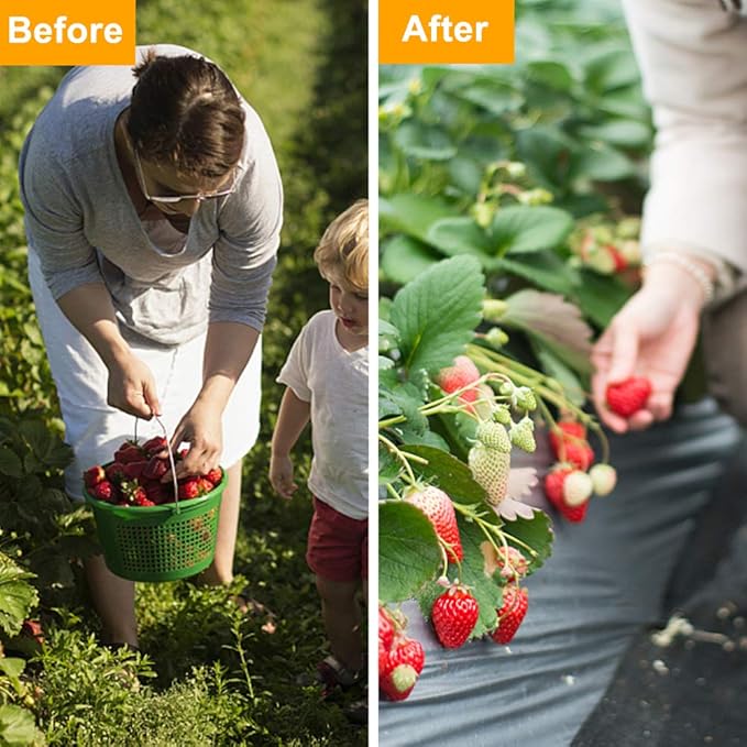 TUFFIOM Weed Barrier 6.5 x 300 FT Garden Landscape Fabric, UV Resistance Ground Cover, 125gsm/3.7OZ Heavy Duty Material for Superior Weed Control, Perfect for Greenhouse, Yard, Flower Bed, Garden