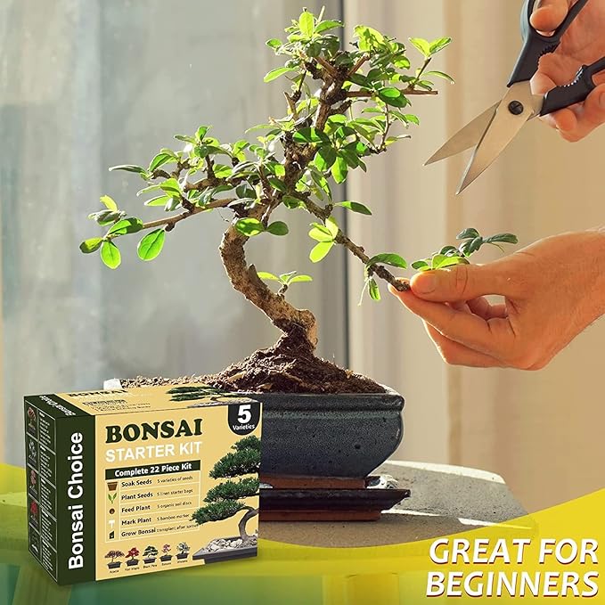 Indoor Starter Kit with Complete Planting Tools, Gardening DIY Gift for Plant Lovers