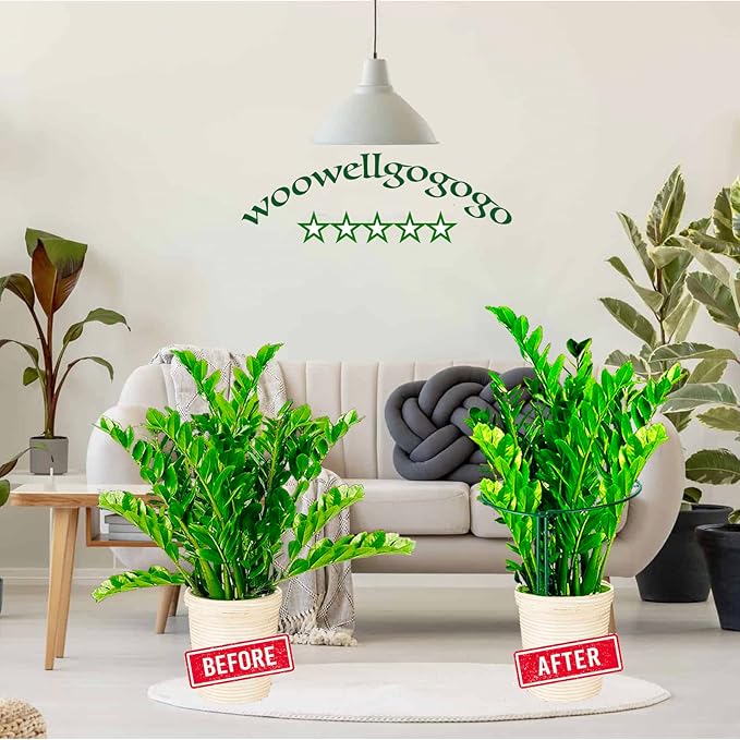 8 Pack Snake Plant Support Stakes - Rust-Proof Half Round Peony Stakes and Supports - Ideal for Hydrangeas, Dahlias, and More - Indoor and Outdoor Potted Plant Support and Stakes