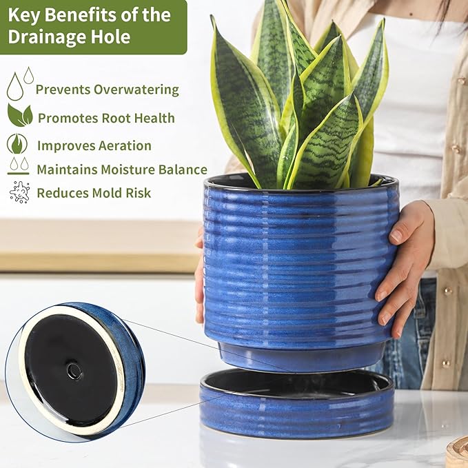 Hasense Ceramic Planter 8 Inch, Round Plant Pot with Drainage Hole and Saucer, Modern Flower Pot for Indoor Outdoor Plants, Home Office Decor, Blue