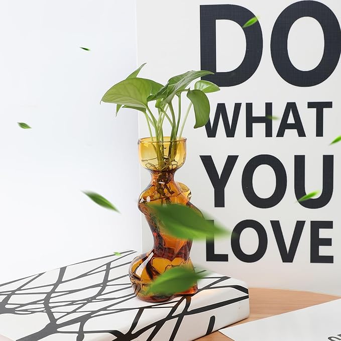 Propagation Vases for Plants Plant Propagation Jars Unique Body Avocado Vase Glass Planter Perfect for Seed Starting Water Rooting and Home Decor Gift for Father