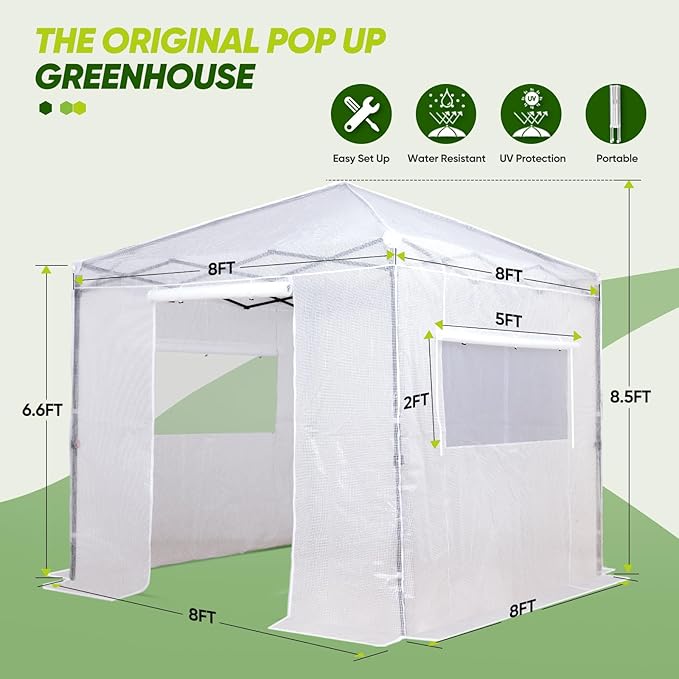 EAGLE PEAK Instant Pop-up Greenhouse, Indoor Outdoor Plant Gardening Green House, Roll-Up Zipper Doors and Side Windows, Walk in 8x8 ft, PE Cover, White/Clear