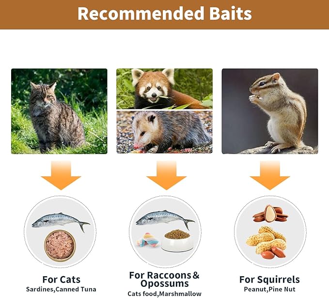 32" Humane Animal Cage Trap, Live Animal Cage Trap, Folding Animal Trap for Stray Cats, Raccoons, Rabbits, Skunks, Moles, Groundhogs and Armadillos up to 17 lbs