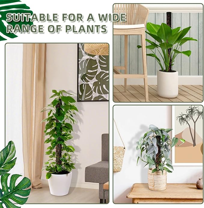 Moss Pole,Small Moss Pole Monstera Plant Support,Plastic Moss Pole for Plants Indoor and Climbing Plants-Mighty Plant Support. (Black,4)