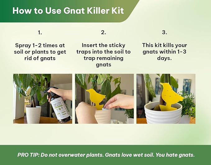 Kate's Home & Garden Plant Spray for Insects & Getting Rid of Gnats with 12 Sticky Traps. Fungus Gnat Killer & Bug Spray for Indoor Plants (16oz, Peppermint, Pet Safe, Non Toxic)