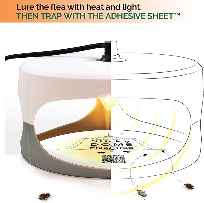 ASPECTEK - Trapest Sticky Dome Flea Bed Bug Trap and 2 Glue Discs. Odorless Cleaner and Flea Killer Trap Pad