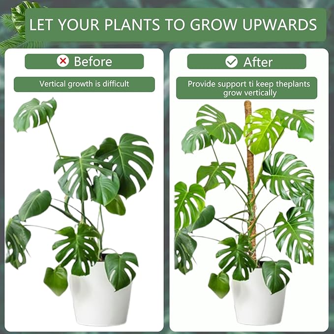 4 Pack 28'' Bendable Moss Pole Plant Stand for Indoor Climbers - Stakes for Potting Climbers - Free Garden Tie Tall Pole Indoor Planter for Home Potting - Potting Accessories