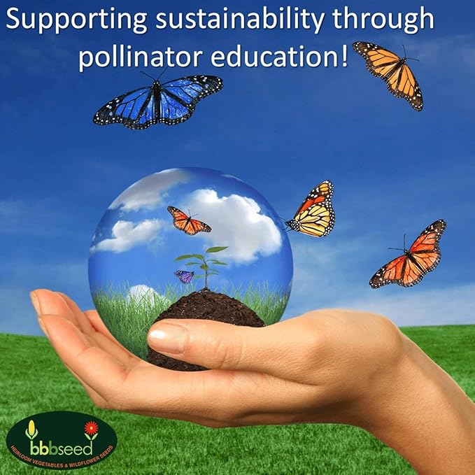 Hummingbird Nectar Wildflower Seeds - 1oz, Open-Pollinated Flower Seed Mix Packet, Non-GMO, No Fillers, Annual, Perennial Wildflower Seeds Year Round Planting - 1 oz