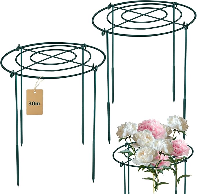 2Set Metal Peony Grid Cages, 30"H X 14"D Large Flower Support Cages Grow Through Hoop Ring Peony Stakes Garden Plant Support Rings Heavy Duty Plant Braces Peonies Structure for Outdoor Plants Blossoms