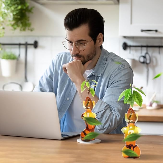 Propagation Vases for Plants Plant Propagation Jars Unique Body Avocado Vase Glass Planter Perfect for Seed Starting Water Rooting and Home Decor Gift for Father