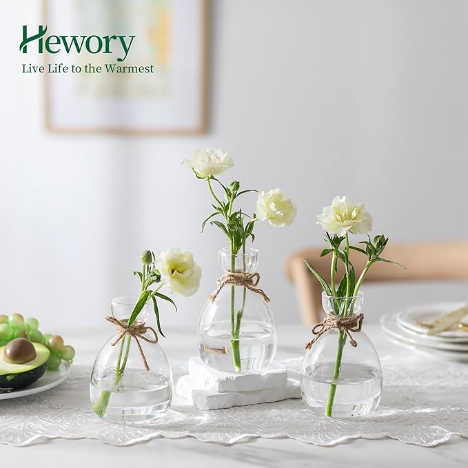 Hewory Avocado Seed Starter Vase: 3 Pcs Glass Avocado Tree Growing Kit Pot for Indoor Plant - Rustic Acorn Vases for Plant Gardening Lovers