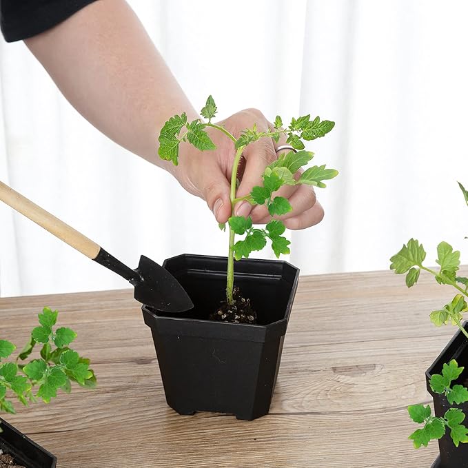 foxany 4" Plastic Nursery Pot, 30 Pcs Thick Plastic Square Planting Pots, Plant Seedling Pots, Seed Starting Pots - Black