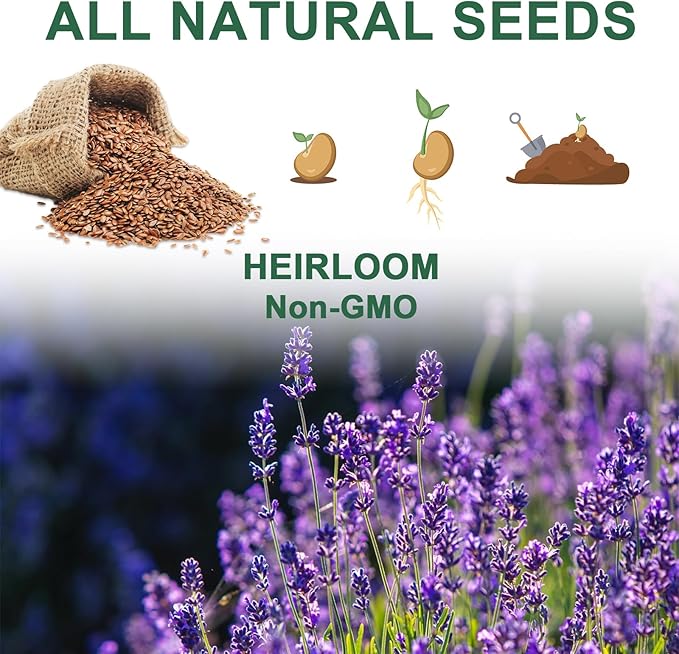 Lavender Seed Pod Kit, 8 Pod Kit (Include Seed Mint/Chamomile/Holy Basil/Borage/Calendula/Lavender) Fresh Tea Seed Pod Kit Compatible with Hydroponics