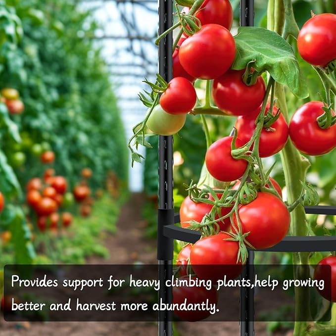 Tomato Support Cages for Garden Metal Plant Stakes 2 Packs 47 Inch Tall Large Heavy Duty Plant Cage Trellis for Support Outdoor Climbing Vegetables Plants Flowers Comes 20 Strap Ties