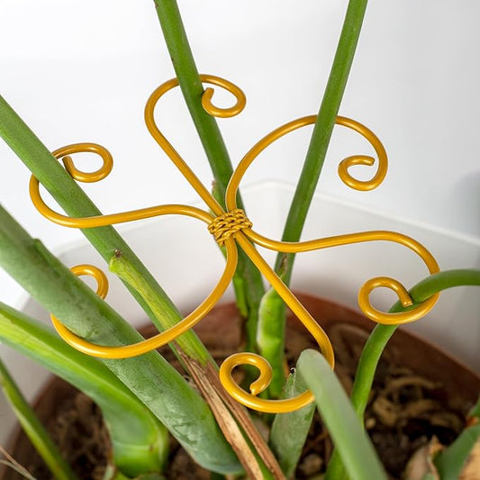 Monstera Plant Support 6-Pack - Durable Iron Clamps with Turtle Shell Design, Plant Supports for Indoor Plants & Climbing Vines, Healthy Growth & Leaf Stabilization