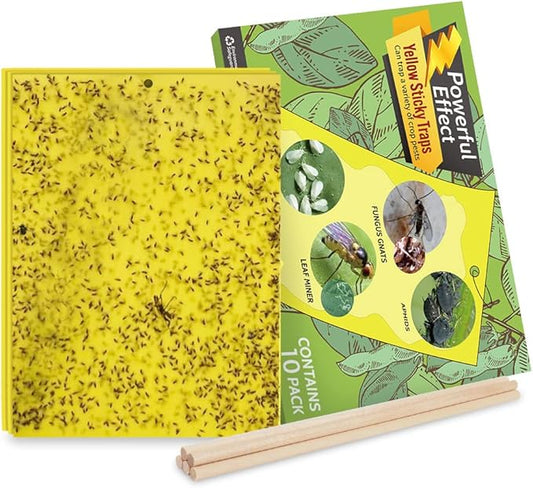 Kensizer 10-Pack Fruit Fly Trap, Yellow Sticky Gnat Trap Killer for Indoor/Outdoor Flying Plant Insect Like Fungus Gnat, Whiteflies, Aphids, Leaf Miners - 6x8 in, Twist Ties Included