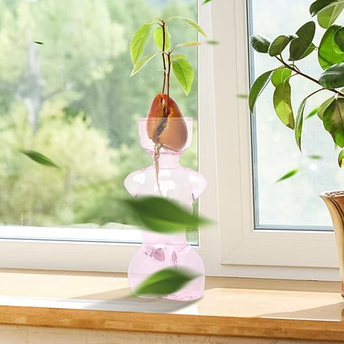 Propagation Vases for Plants Plant Propagation Jars Unique Body Avocado Vase Glass Planter Perfect for Seed Starting Water Rooting and Home Decor Gift for Father