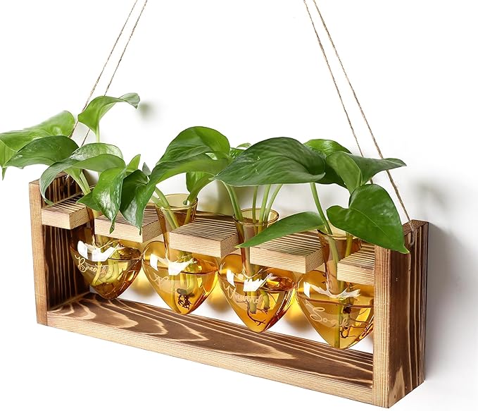 Plants Propagation Stations Plant Terrarium Kit for Bathroom Glass Planters for Indoor Plants Bathroom Decor Accessories - Relax Soak Unwind Breathe