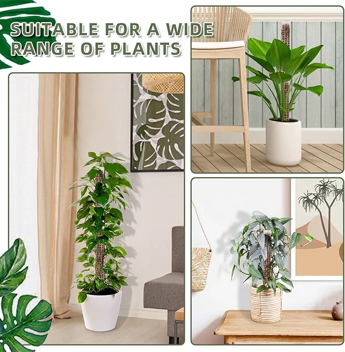 Moss Pole,Small Moss Pole Monstera Plant Support,Plastic Moss Pole for Plants Indoor and Climbing Plants-Mighty Plant Support. (White,4)
