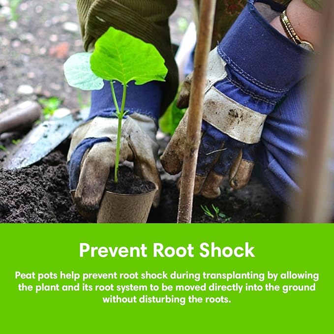 Seedling Starter Kit Germination Grow Cups and Soil (10 Pack) Biodegradable Peat Pots, Coco Coir Soil Discs, Plant Markers - Organic Grow Kit for Seed Germination, Indoor/Outdoor (2)