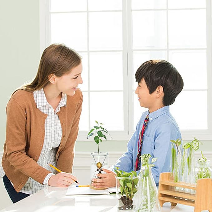 Bylion Avocado Tree Growing Kits, Avocado Growing Vase Wooden Base Avocado Seed Starter Vase Glass Plant Pot Easy Seed Sprout Starter Gift for Women Gardening Lovers Home Office Table Decoration