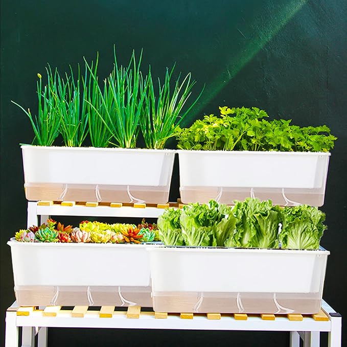 FAMZ Self Watering Pots - 3 Pack Transparent Rectangular Planting Pots for Indoor Plants - Suitable for Growing African Violets, Fruits, Vegetables, Flowers