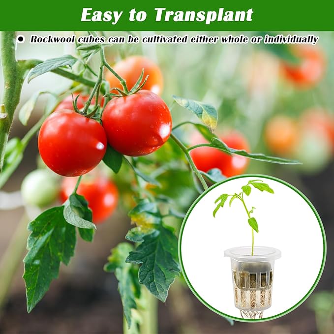 100 Pcs Rockwool Cube for Hydroponics with Net Pot, 50P 1Inch Rockwool Stonewool Plug & 50P 1.5Inch Net Cup for Seed Starter Soilless, Hydroponics, Plant Germination Start (Transparent)