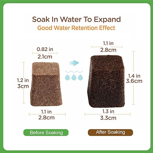 50 Packs Cuttage Grow Sponges, Pods Root Growth Sponge Eco Friendly PH Balance, Square Sponge Replacement Part Seedling Starter Sponges for Hydroponic Indoor Garden System Cuttage Rooting