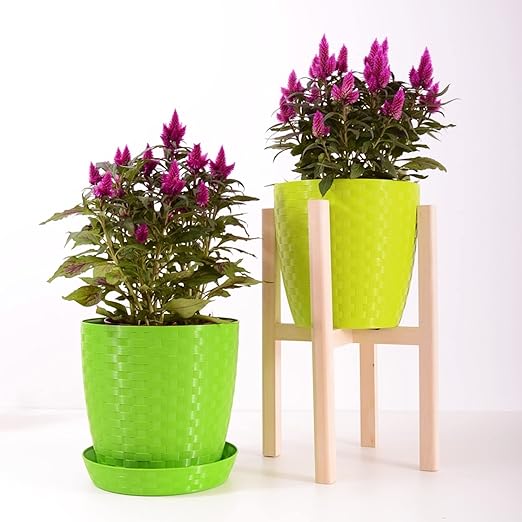 Indoor Plant Fertilizer Pellets | 18-6-8 Macro Plus for Seedlings and Mature Plants | Multi-Purpose Blend & Gardening Supplies| 5.2 oz Resealable Packaging