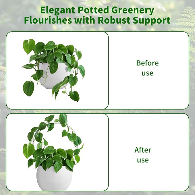 2-Pack Round Acrylic Plant Trellis for Potted Plants Indoor Outdoor - Small Climbing Plant Trellis Support for Hoya, Pothos, Vine, Ivy, Monstera, Flower, Philodendrons, Dischidia