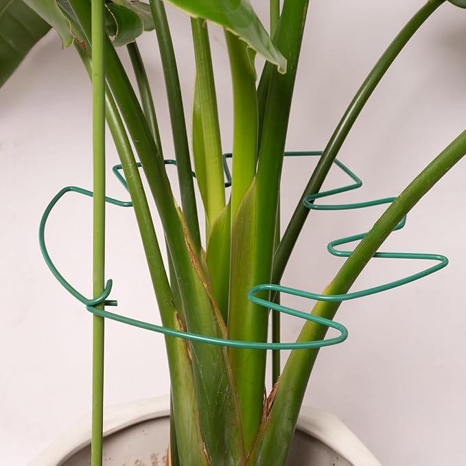 5PCS Green Monstera Plant Stem Support - 11x9.4 Adjustable Fishbone Cactus Stake Holder, Durable, Sturdy Design, Easy Installation, Gentle Grip for Indoor Plants