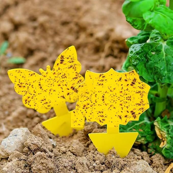 58 Pcs Flying Insect Traps for Plants,Indoors, Outdoors, Kitchen, Office, Yellow Sticky Traps for Fungus Gnat, Fly and Flying Insects, Non-Toxic & Odorless, Kid & Pet Safe, Economic Pack