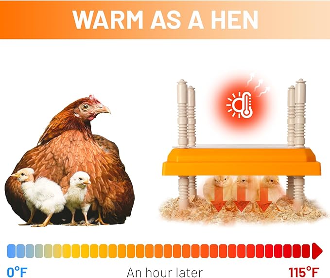 Brooder Heater for Chicks, 10" x 10" for 15 Chicks Heating Plate with Adjustable Height and Angle 15W Chicken Brooder Warm Like Mother Hen