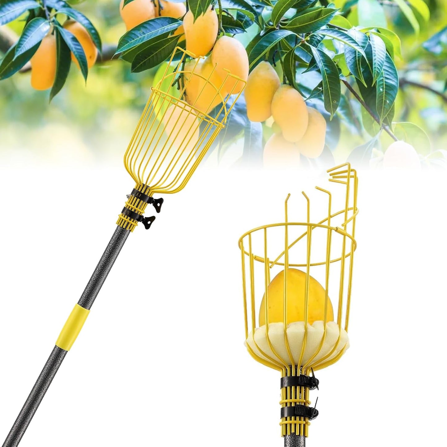 10FT Fruit Picker, Adjustable Mango Picker Tool with Adjustable Pole and Basket, High Fruit Catcher Equipment Apple Picker for Lemon Apples Mango Pear Orange Avocados Fruit Picking Grabber Tool